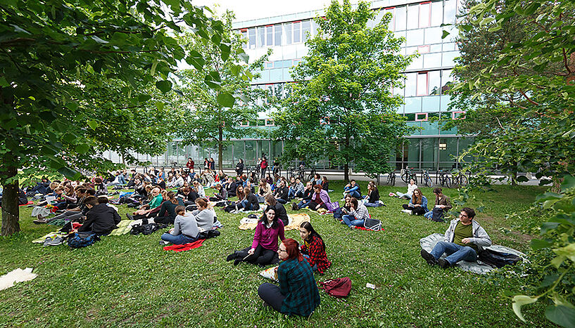 Personen sitzen in der Wiese am Campus der Universität Wien.