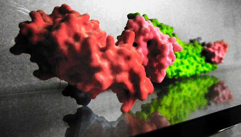 3D-Modell eines Proteins