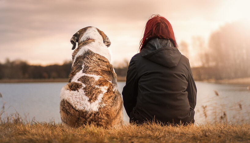 Frua sitzt mit Hund am Seeufer bei Sonnenuntergang, von hinten fotografiert
