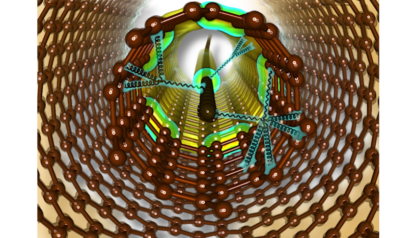 Bild von der schematischen Darstellung von Carbyne, das in doppelwandigen Kohlenstoffnanoröhren mit kleinem Durchmesser stabilisiert ist.