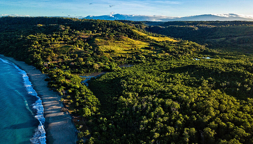 Foto des Regenwalds in Cosa Rica