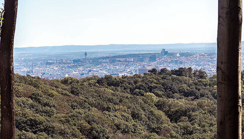Das Plakat des Films zeigt den Blick über Wien aus dem Wiener Wald. Zu sehen ist neben dem Stephansdom und dem AKH auch die Weite der Stadt.