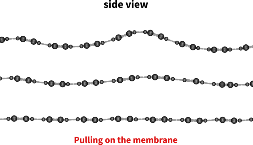 Fig. 3: Picture of an illustration of the accordion effect.