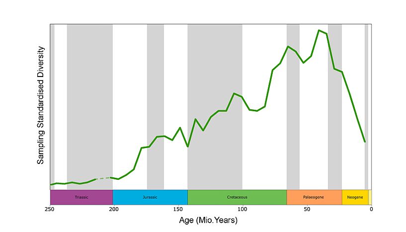 Fig. 3: A picture of the diversity curve of neoselachians (modern sharks and rays and the extinct synechodontiform sharks) from the Triassic to the Holocene in millions of years.