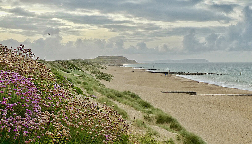 Picture of the seashore