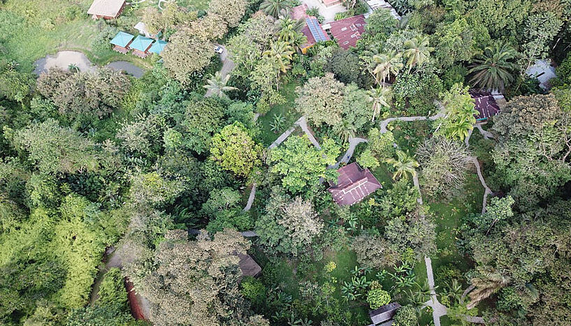 Luftbild Vegetation Costa Rica