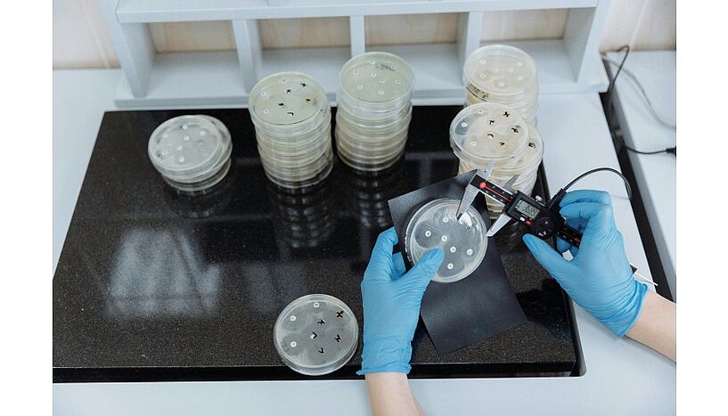 Fig. 1: Picture of petri dishes.