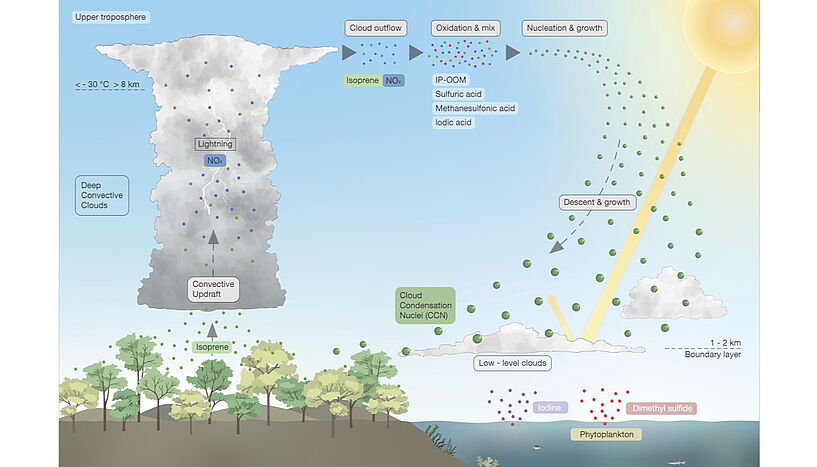 Abb. 2: Schematische Darstellung der Teilchenneubildung in der oberen Troposphäre durch Isopren. 