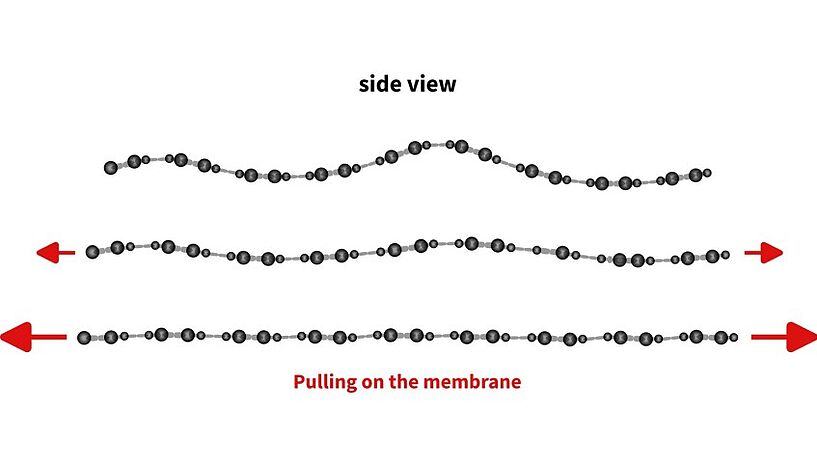 Fig. 3: Picture of an illustration of the accordion effect.