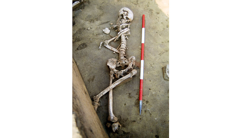 Fig. 4: Skeletons from the Asparn-Schletz Massacre
