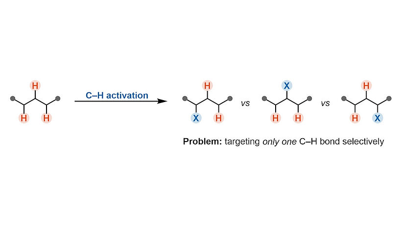 Fig. 1: Graphic of C-H activation 
