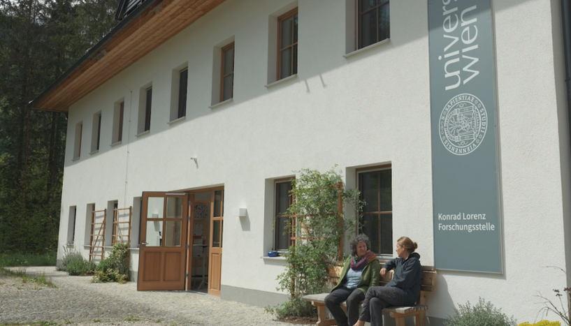 Didone Frigerio und Sonia Kleindorfer sitzen auf einer Bank vor dem Gebäude der Konrad Lorenz Forschungsstelle
