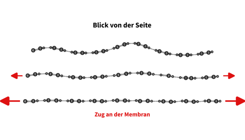 Abb. 3: Bild von der Illustration des Akkordeoneffekts.