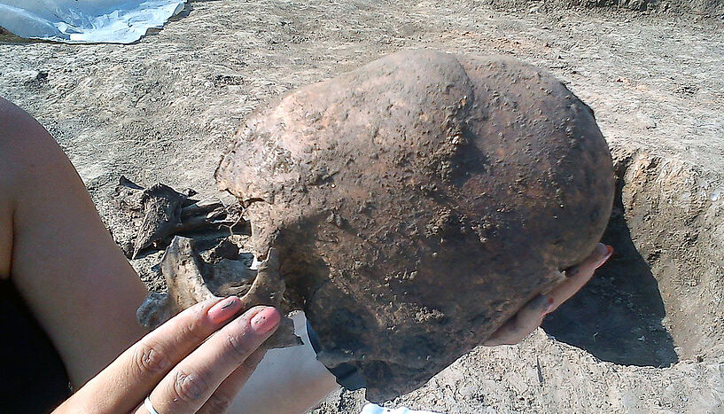 The elongated skull during the excavation.
