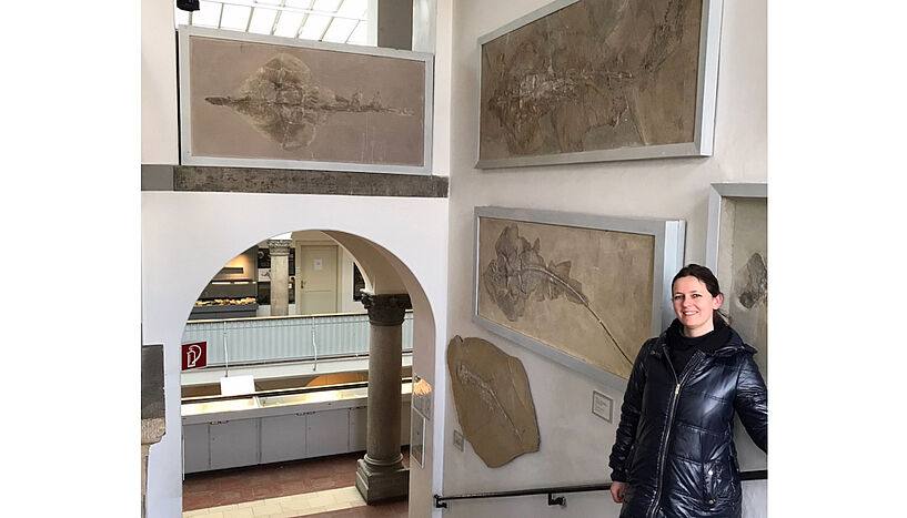 Fig. 2: Picture of Palaeobiologist Julia Türtscher in the Bavarian State Collection of Palaeontology and Geology in Munich.