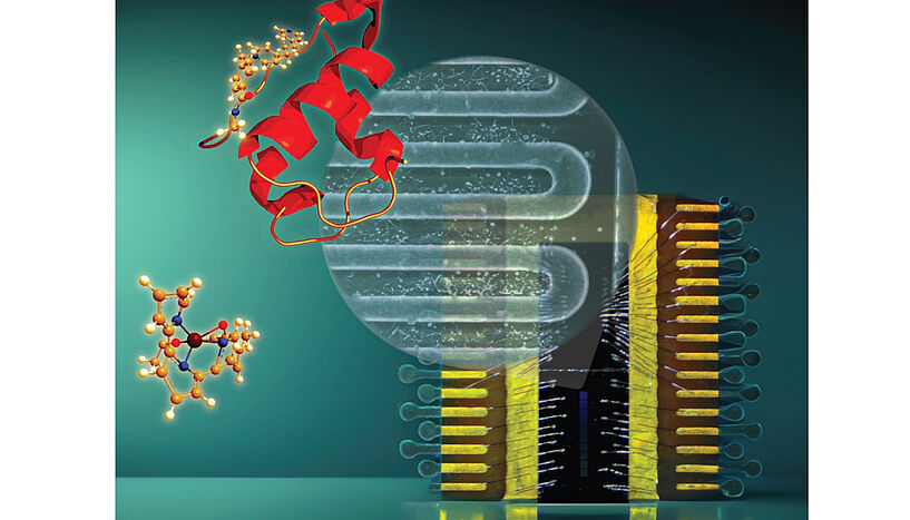 Abb. 2: Grafik einzelner Proteine mit einem supraleitenden Nanodraht.