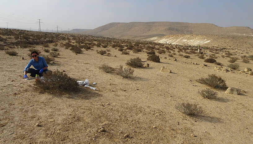 Abb. 2: Die Erstautor*innen Stefanie Imminger und Dimitri Meier bei der Probennahme von Biokrusten in der Negev-Wüste, Israel. 
