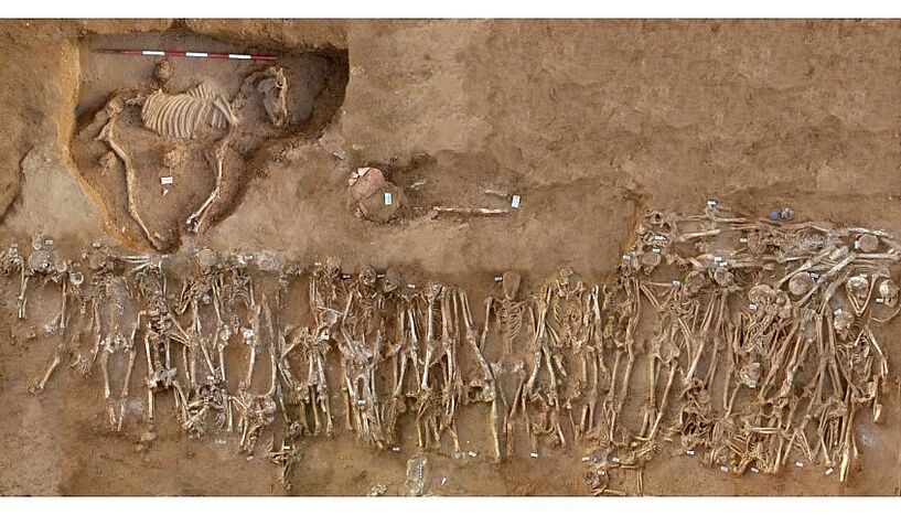 Foto eines Massengrabs aus der Schlacht von Himera im Jahr 409 v. u. Z. - das Skelett eines Pferdes und mehrere menschliche Skelette sind in einer Ausgrabungsstätte zu sehen. 