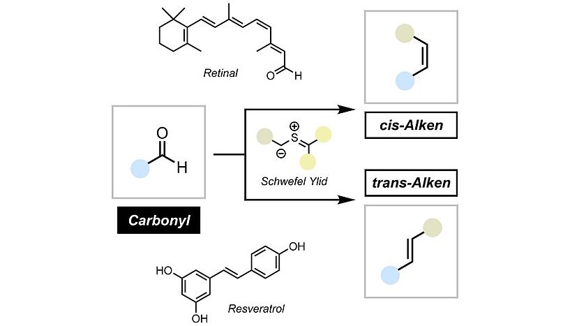 Abb. 3: Chemische Illustration, die darstellt, dass  auch Schwefel Ylide aus Carbonylen Alkene machen können
