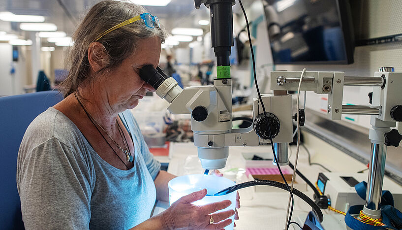 Abb. 2: Monika Bright beim untersuchen von Proben von Röhrenwurmlarven