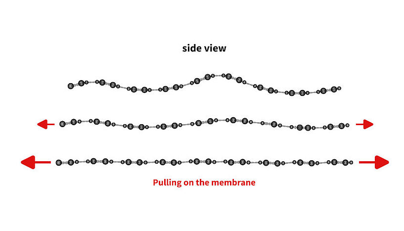 Fig. 3: Picture of an illustration of the accordion effect.