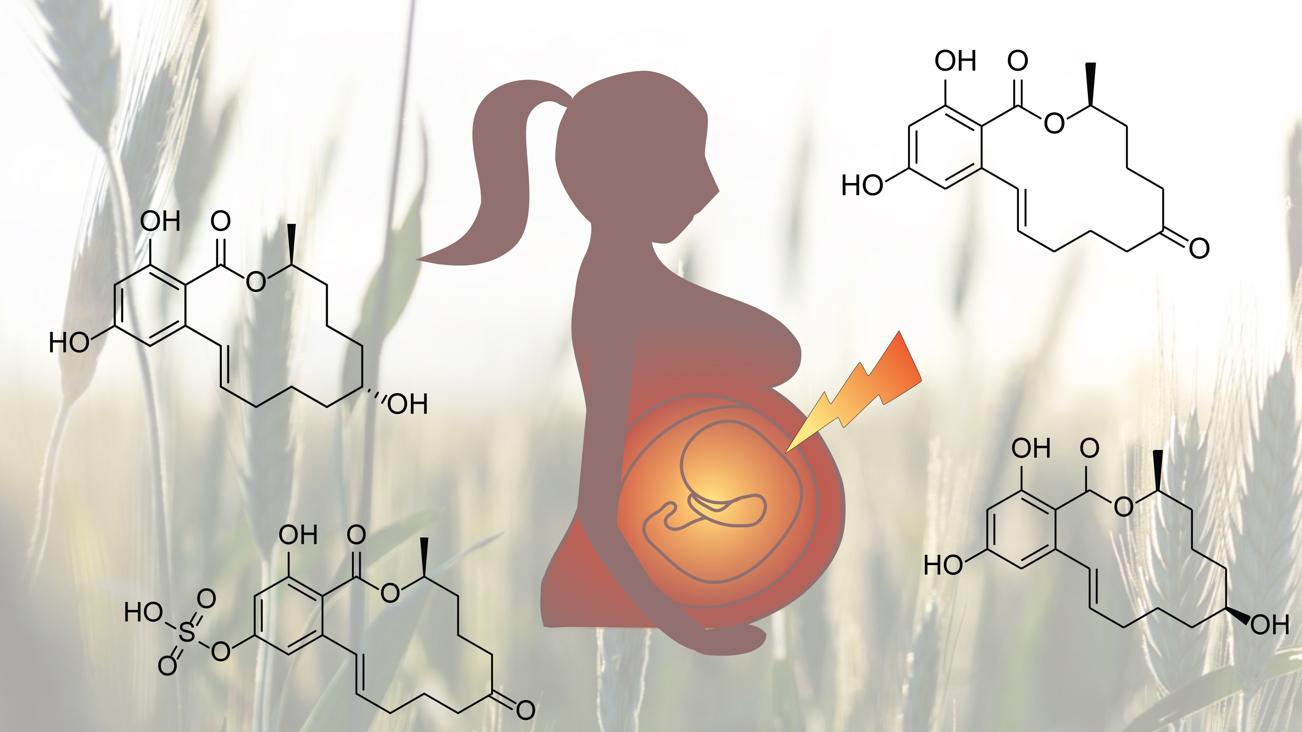 Newswise: Babies burdened by environmental estrogens in mothers' wombs